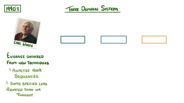 GCSE Biology - Classification #80 смотреть онлайн