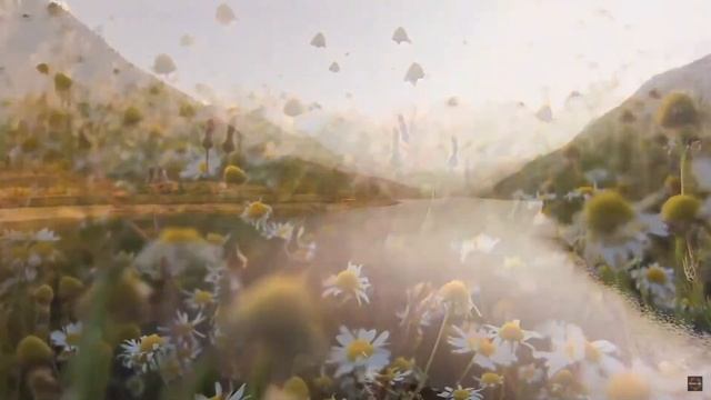 Музыка лечит сердце ? Расслабляющая музыка для отдыха ума, стресса, беспокойства, медитации #18???? смотреть онлайн