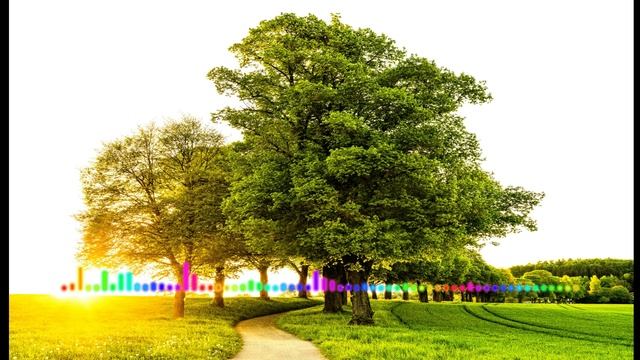 Хава Алиева - Урк!илис 2023