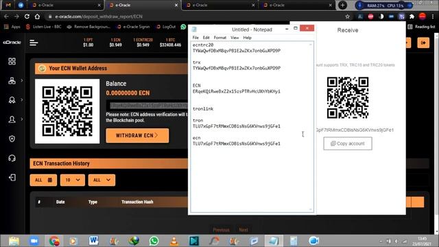 ECN-TRC20 Wallet | EXPLAINED смотреть онлайн