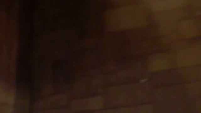 Кошка приносит мячик 1 2015-11-03 смотреть онлайн