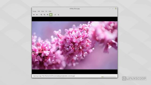 Linux Mint 18.2 Cinnamon Edition - See What's New смотреть онлайн