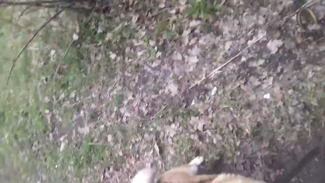 искусство выживать в нашем жестоком мире! смотреть онлайн