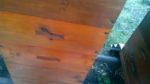 А мы всё качаем мед с подсолнуха смотреть онлайн
