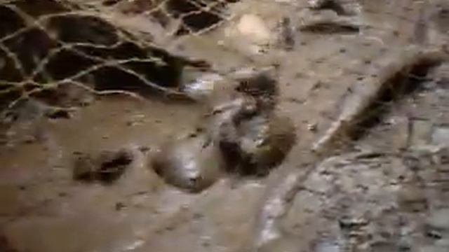 Морпехи нервно курят в сторонке смотреть онлайн
