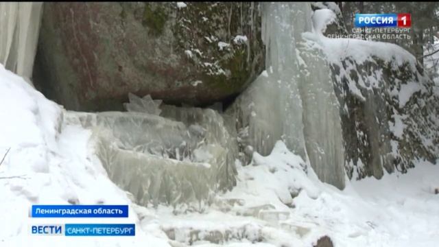 В парке Монрепо лесничий создал необычные ледяные скульптуры