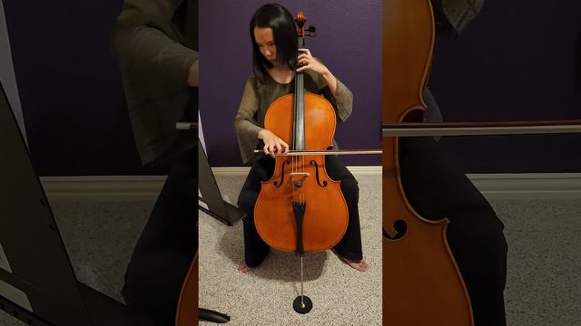 Aurelia Sutiono Cello GDYO Audition 2023-2024 смотреть онлайн