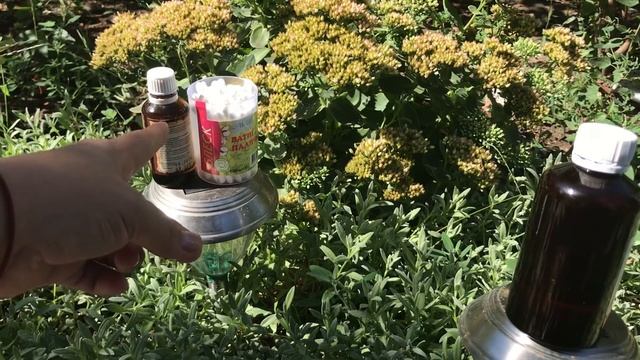 ОТ ГРИБКА , бородавок и папиллом, Помогает это чудесное масло! смотреть онлайн