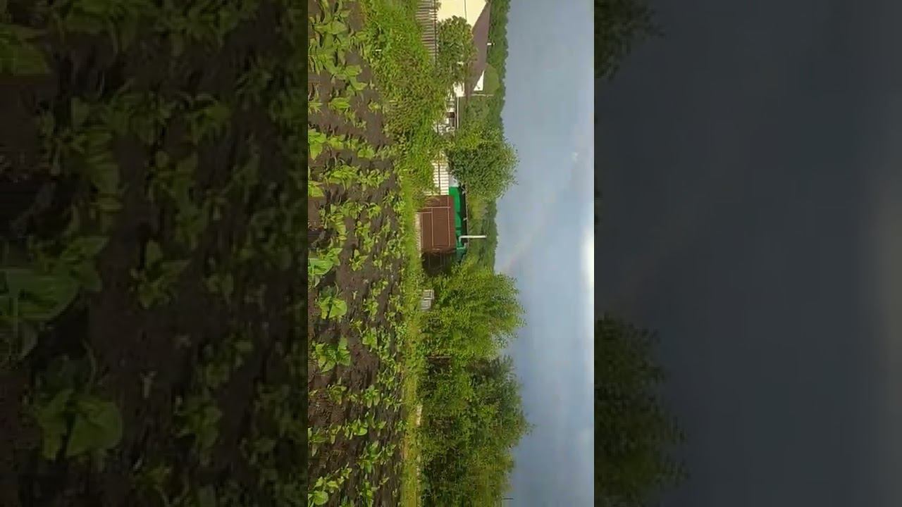 13 июня 2022 г. смотреть онлайн