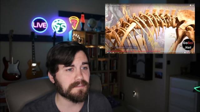 Failed Evolution Predictions смотреть онлайн