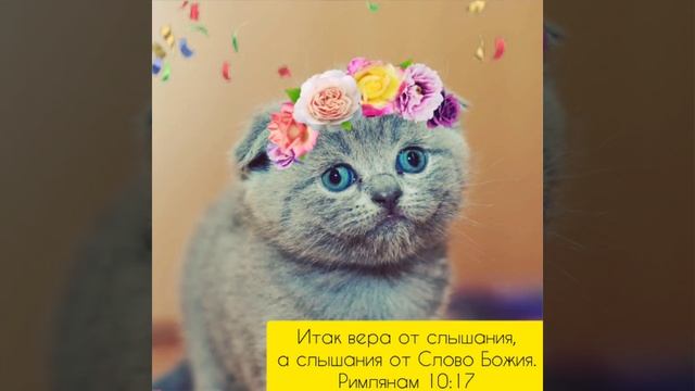 Учите стихи из Библии вместе с нами! ?♥️♥️ смотреть онлайн