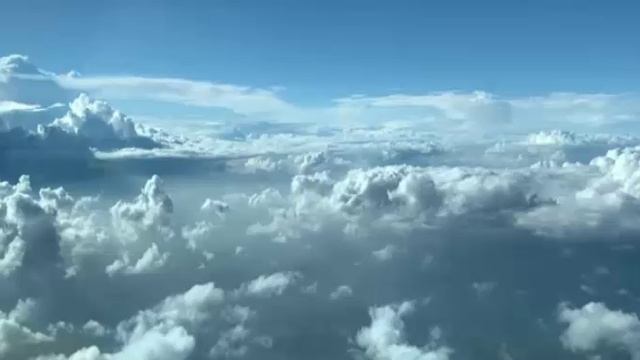 ДВИЖКИ ПОЮТ