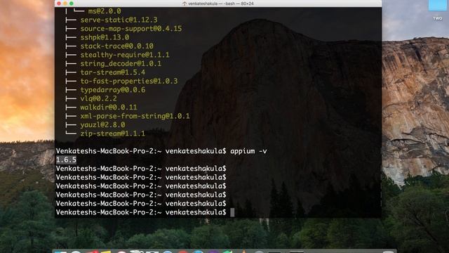[Appium Setup] How To Upgrade Appium In Mac Using Terminal?