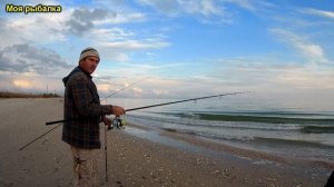 Ловля пеленгаса в ноябре 2020