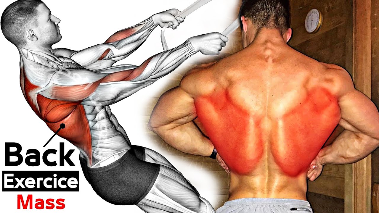 Как улучшить тренировку спины (6 эффективных упражнений) смотреть онлайн