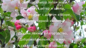 Баллада о запахах. Отец Тихон. Оптина пустынь