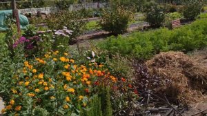 Обзор дачи 4 сентября