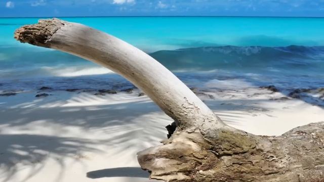 ON THE BEACH - Chris Rea (original ver.) смотреть онлайн