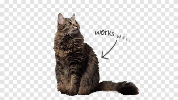 Background Remover by Icons8: Remove the background from any photo with AI