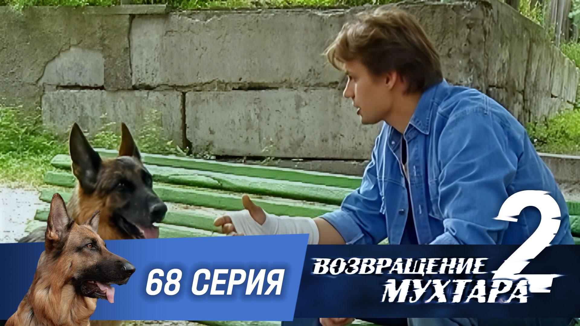 «Возвращение Мухтара — 2». 68 серия. «Чужие заслуги» смотреть онлайн