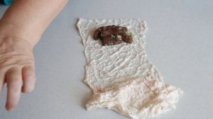 Патроны из печени .Чеченская кухня .Печёнка в жировой сетке