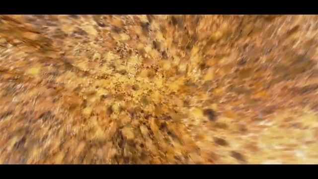 Формула Изобилия Сан Лайт. Привлечение денег смотреть онлайн