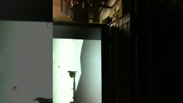 gta iv graphics problem on dell n5110 how to fix it смотреть онлайн