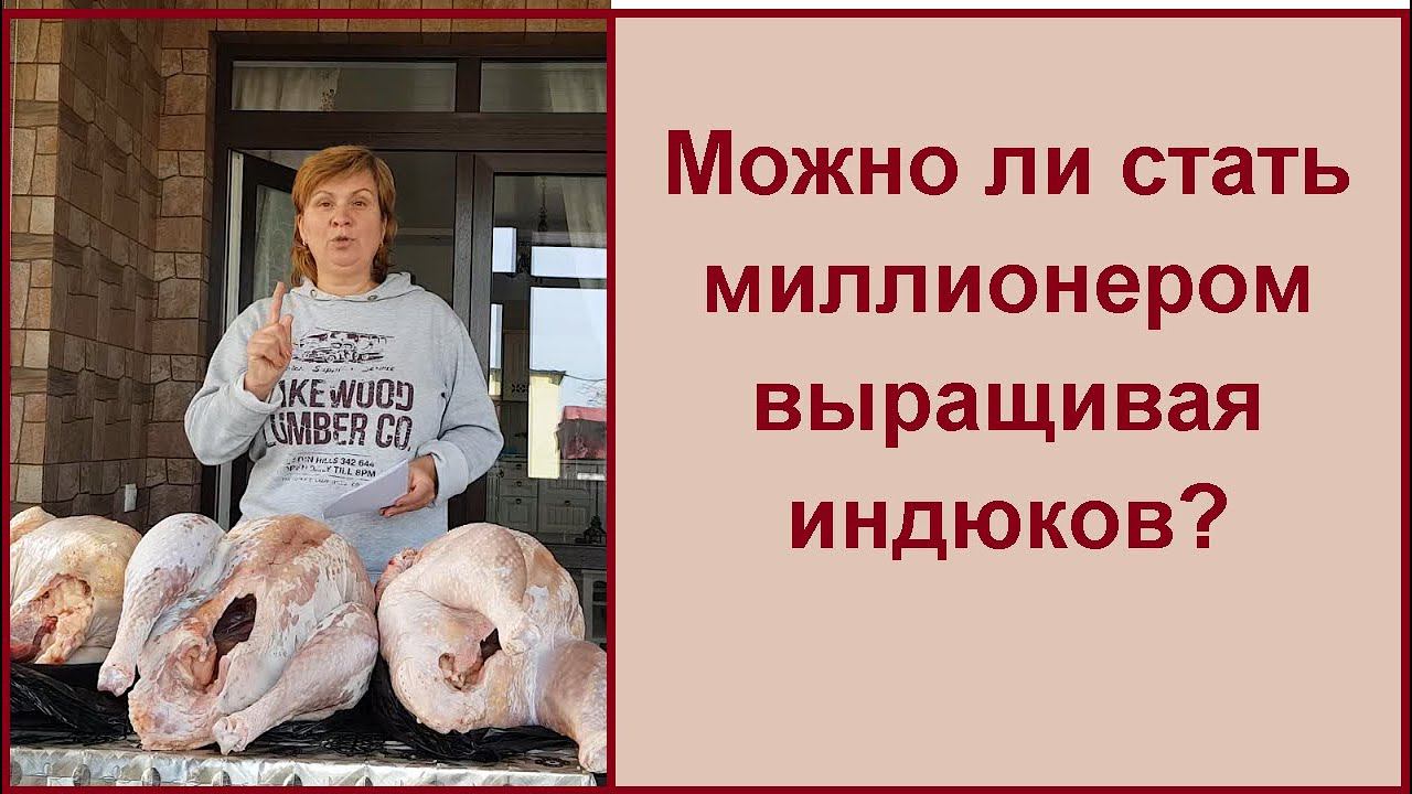 Какая выгода от индюков// Заработок на индейке// Проект завершен! смотреть онлайн