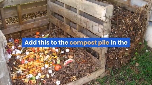 16 Things you may not know are COMPOSTABLE! смотреть онлайн