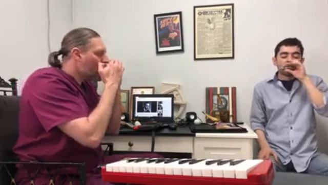 Пармани в октаву/Playing in octave #stratocastro #harmonica #harp #губнаягармошка смотреть онлайн