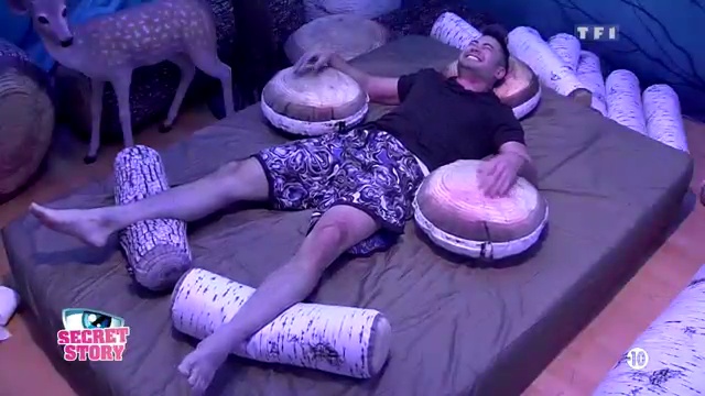 Secret Story 10 - Thomas Rebelle Au Bois Dormant