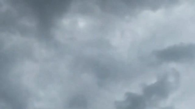Эдит Тимура на самокате (1) смотреть онлайн
