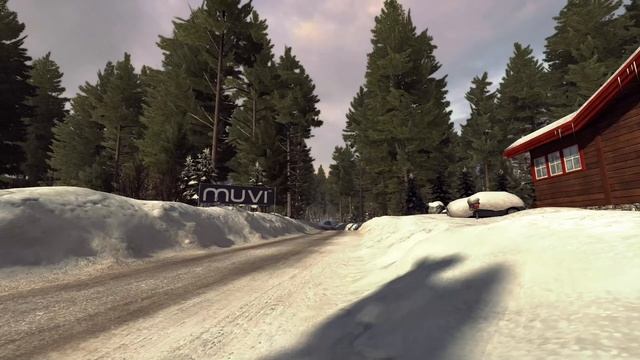 #16 Обзор DiRT Rally (2015) PC