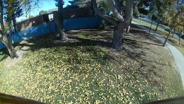 Mobula 8 HD - A dozen cats try to attack my drone смотреть онлайн