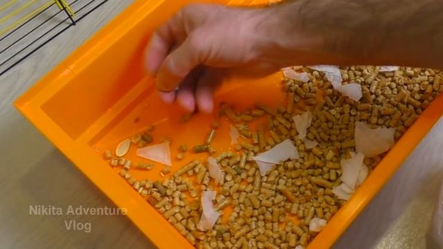 Уборка в Клетке у Хомяка Бобби. Рассказываю Все Секреты смотреть онлайн