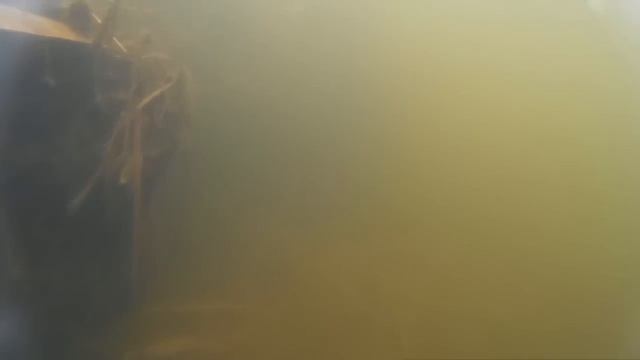 Тест экшн камеры SJCAM SJ4000 WiFi погружение под воду смотреть онлайн