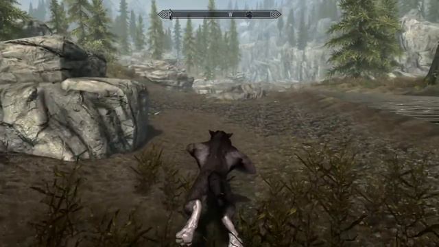 Skyrim: Water Glitch смотреть онлайн
