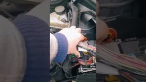 не заводиться мерседес w 203 яка причина