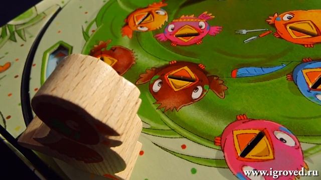 Накорми птичек. Обзор настольной игры от Игроведа смотреть онлайн