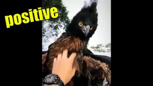 Очередная доза позитива для поднятия настроения #45. Цените каждое мгновение!