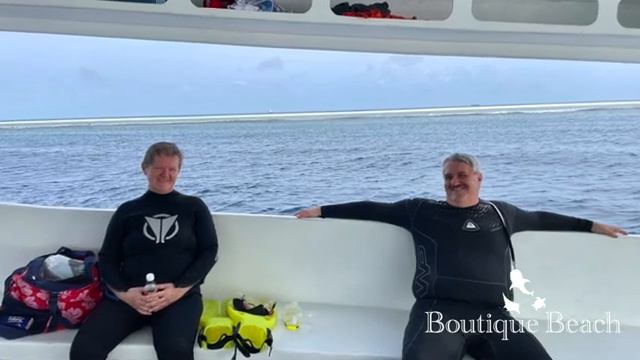 16.05.22 - Kudima Wreck, Manta Snorkling, Raandi Wreck & Whale Shark смотреть онлайн