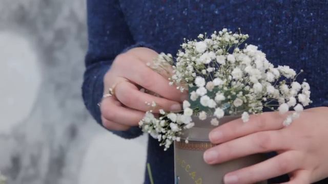 Gypsophila смотреть онлайн