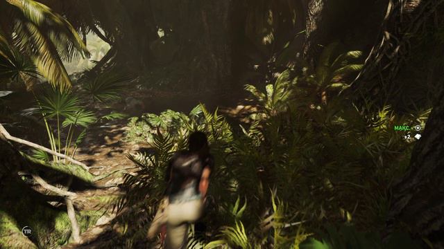 Shadow of the Tomb Raider #5