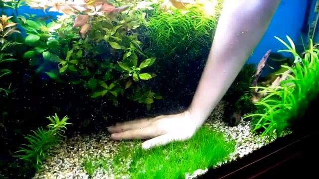 Пузыри из грунта смотреть онлайн