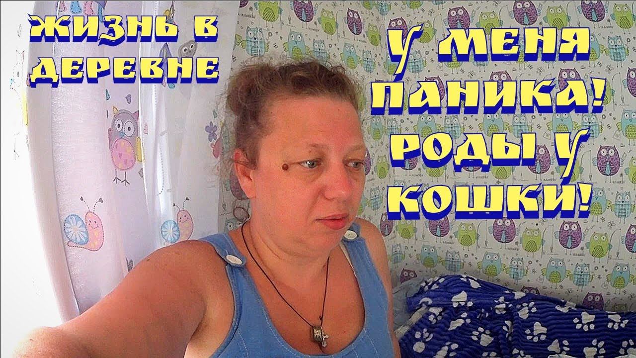 Siberian Wellness / Сибирское здоровые / Ежедневные влоги / Жизнь в деревне смотреть онлайн