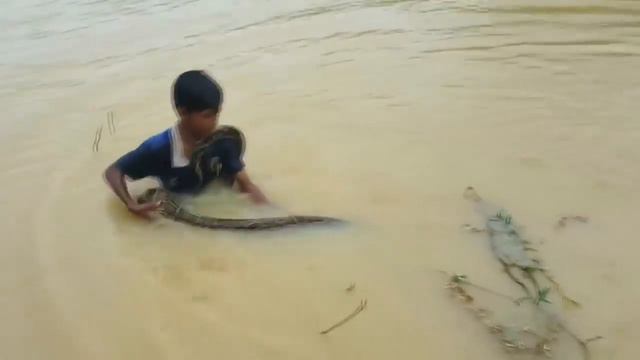 Посмотрите что делают два брата смотреть онлайн