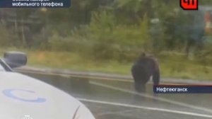 ЧП от 23.08.2011