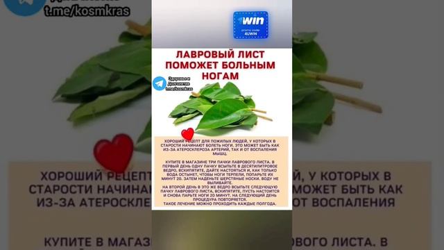 лавровый лист поможет больным ногам #медицина #зож #народнаямедицина #рецепт #здоровье смотреть онлайн