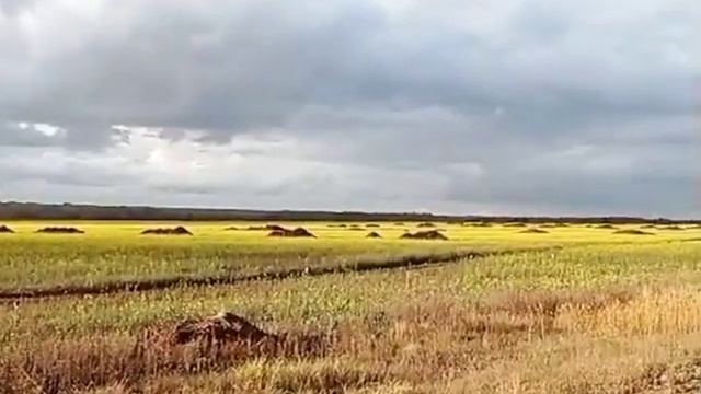@supermarketdomov568 смотреть онлайн