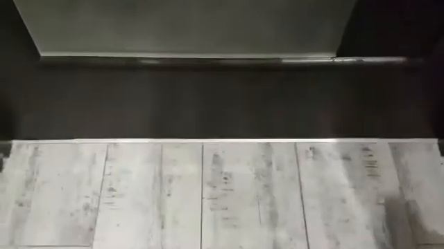 Такса Нора.Полювання. смотреть онлайн